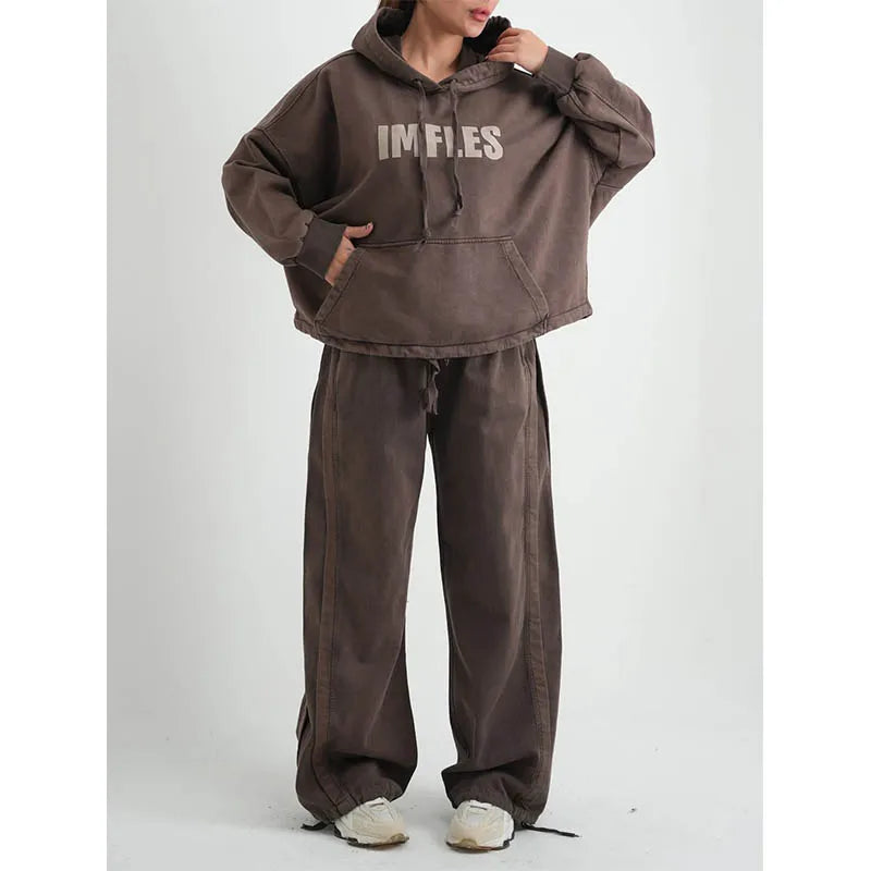 Custom Plus Size Hooded Solid Eco-Friendly 100% Cotton Heavyweight Women's Vintage Casual Winter Tracksuits Set