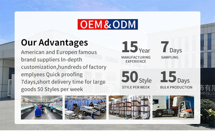 Custom Street OEM Oversized for Women's Blank Casual Hoodies Sweatshirt Women Fashion Heavyweight Unisex Hoodies Manufacturer